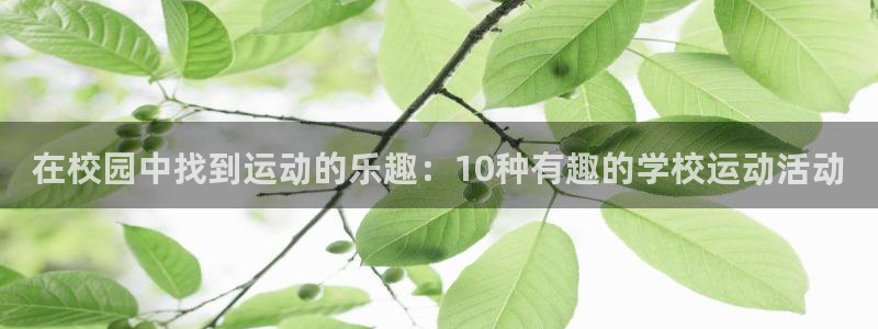 看球通体育免费观看入口：在校园中找到运动的乐趣：10种有趣的学校运动活动