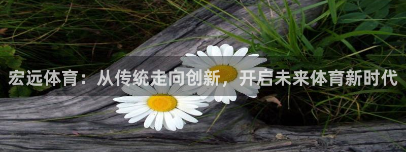 看球通体育官网