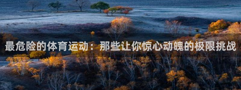 看球通体育直播在线观看