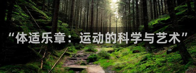 看球通体育网页版