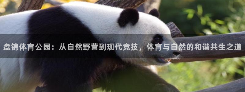 下载看球通体育：盘锦体育公园：从自然野营到现代竞技，体育与自然的和谐共生之道